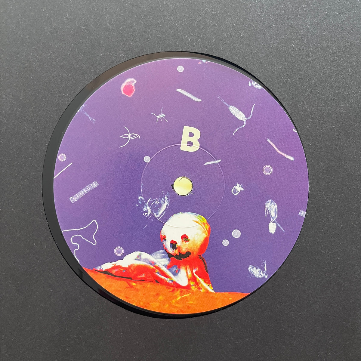Brannten Schnüre – Landschaft Aus Tränen – All Night Flight Records