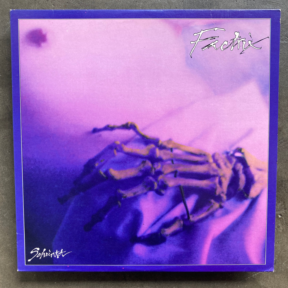 IMG_2142_b1b5b939-761e-4c31-