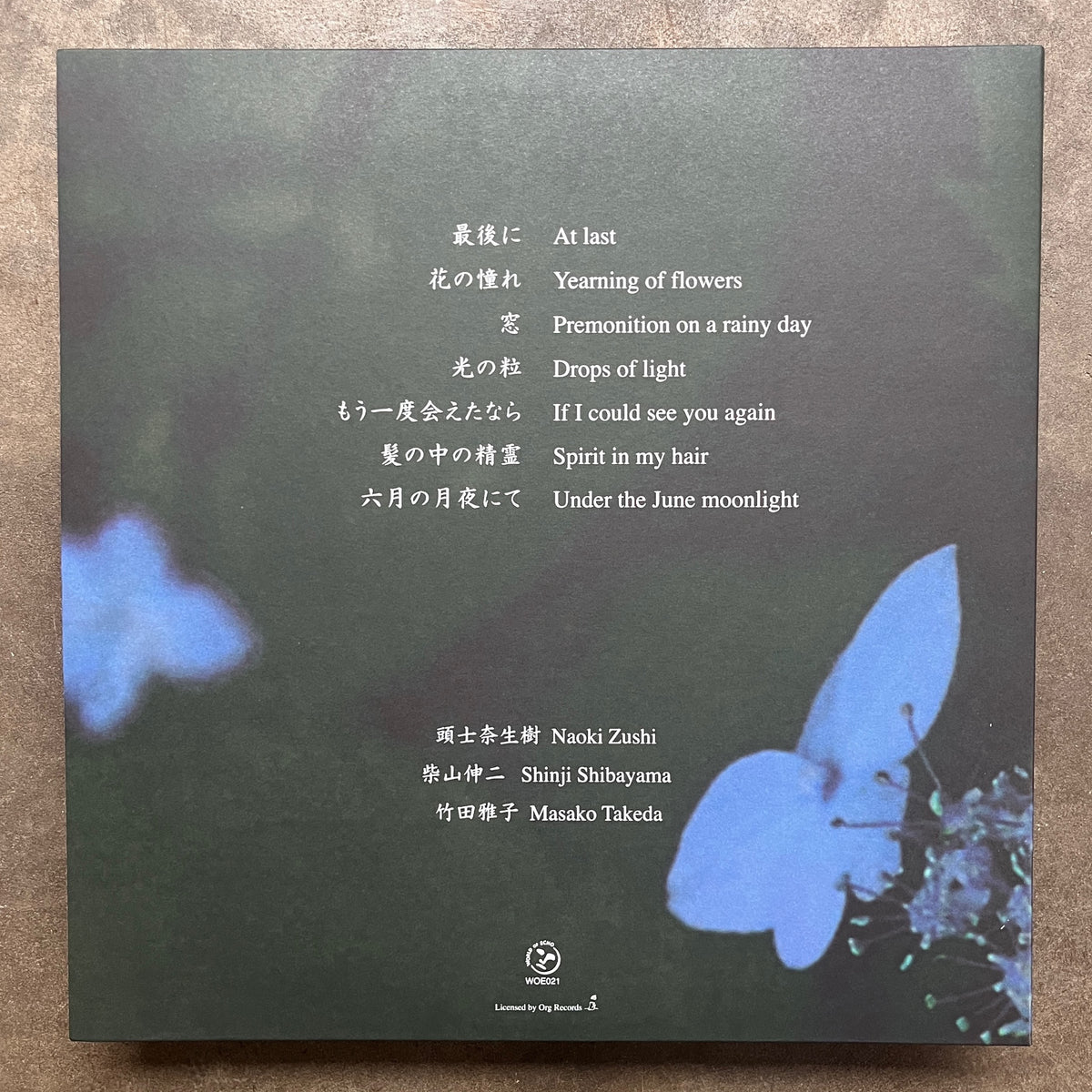 Naoki Zushi = 頭士奈生樹 – III – All Night Flight Records