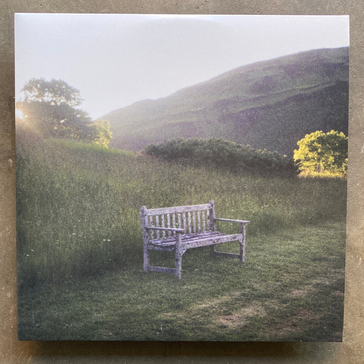 洋楽 Pub/Do You Ever Regret Pantomime? 2LP Pub ‎– Do You Ever Regret Pantomime? – All Night Flight Records