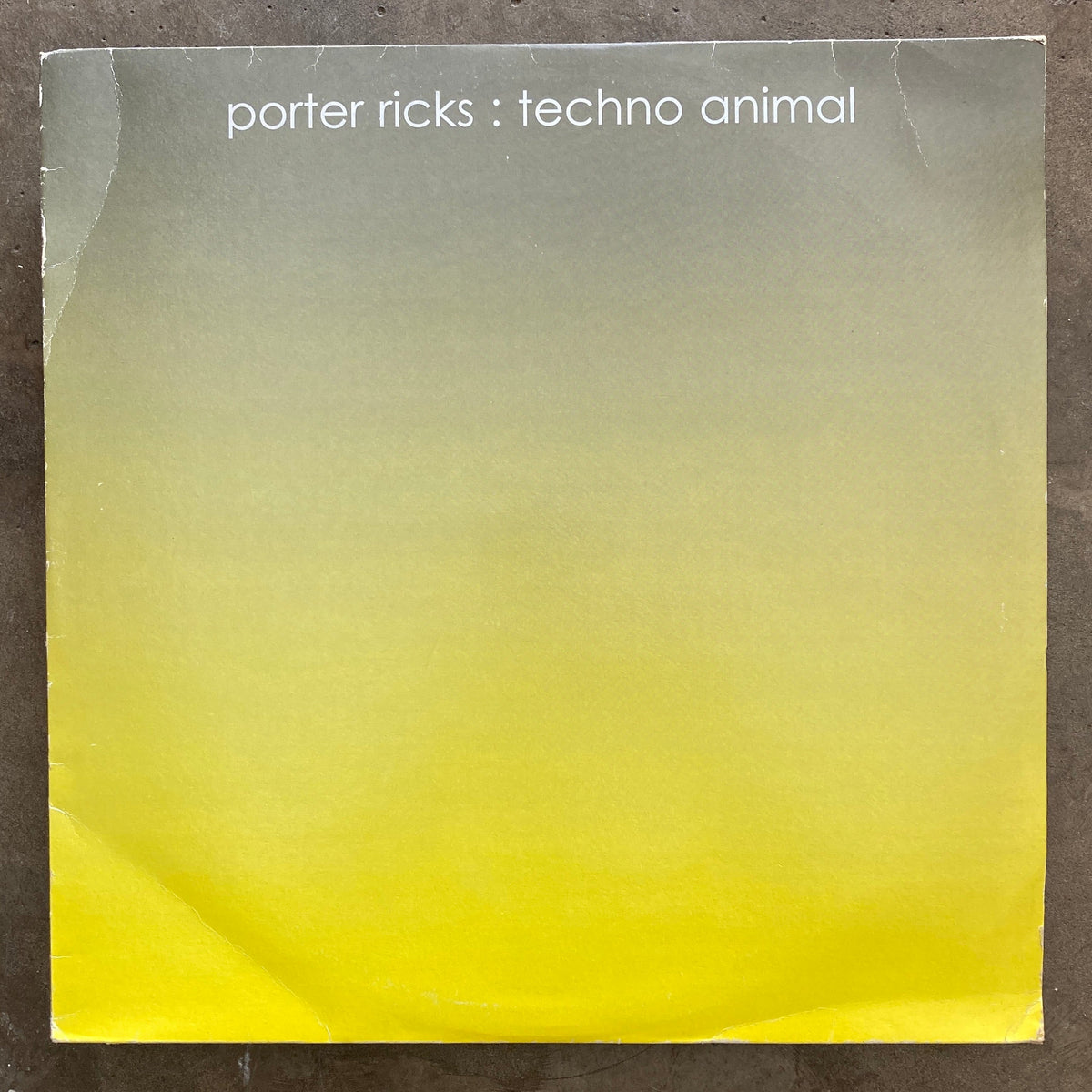 洋楽 porter ricks / techno animal / 2LP IMG_8499_3ca55ef8-4f42-4f96-