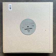 Vladislav Delay ‎– Huone