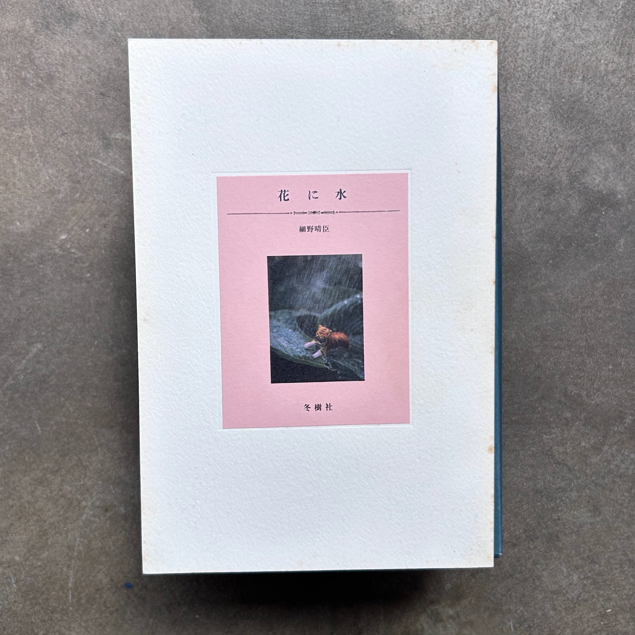 細野晴臣 Harumi Hosono – 花に水 – All Night Flight Records