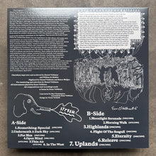 Enno Velthuys – Music From The Other Side Of The Fence