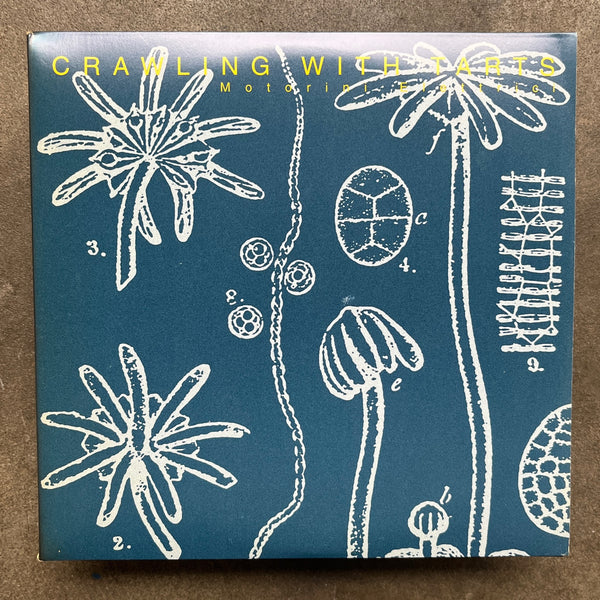 Crawling With Tarts – Motorini Elettrici