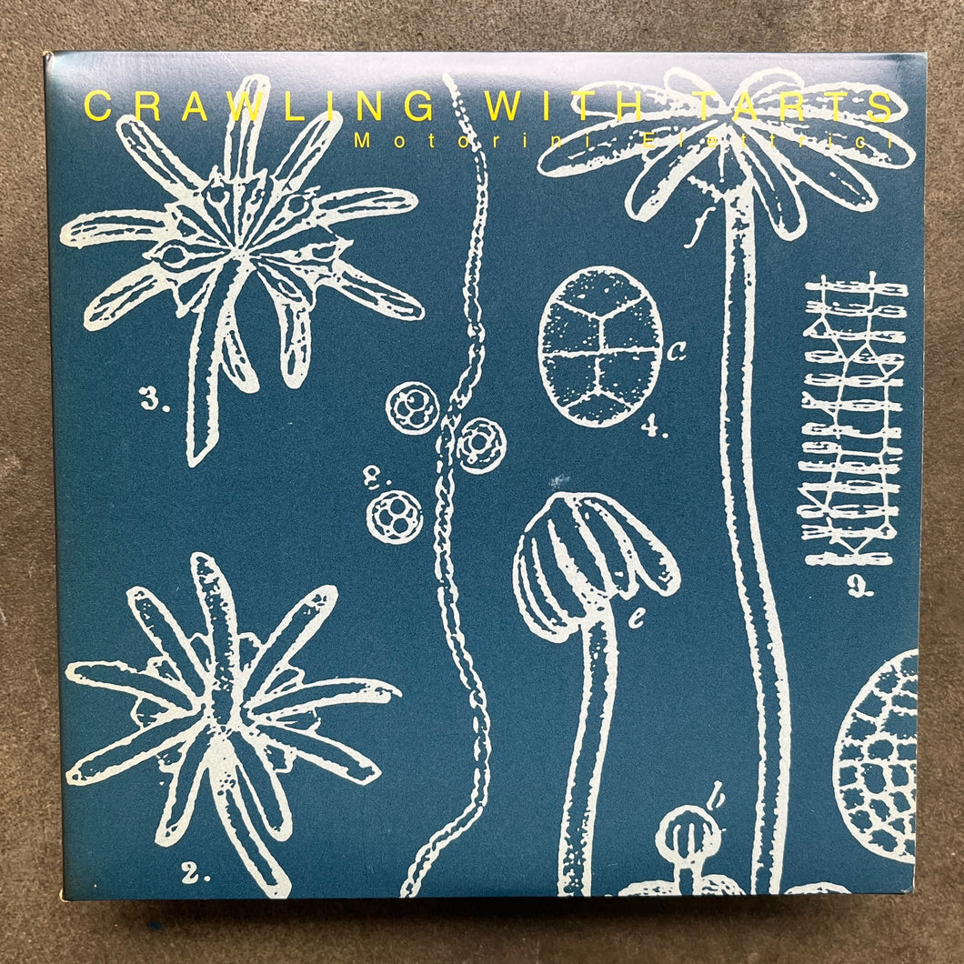 Crawling With Tarts – Motorini Elettrici