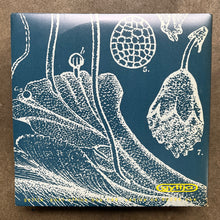 Crawling With Tarts – Motorini Elettrici