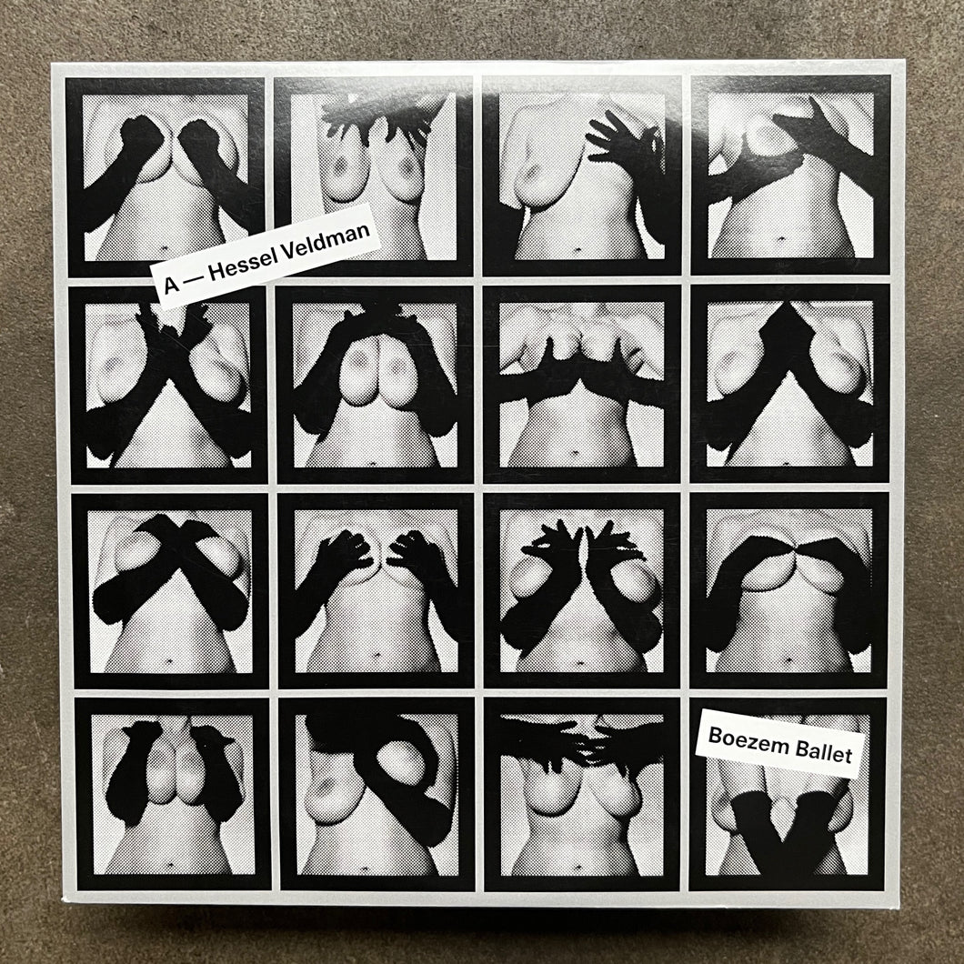 Hessel Veldman / Enno Velthuys ‎– Boezem Ballet / In IJle Lucht