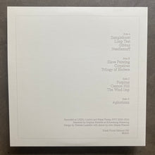Graham Lambkin - Aphorisms