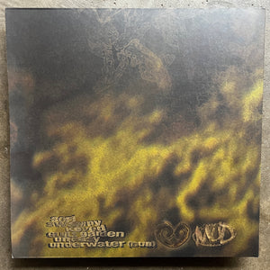 Dregs – Dregs