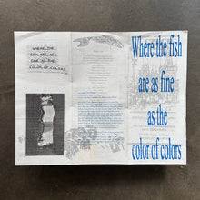 Erik Kramer - Where The Fish Are As Fine As The Color Of Color