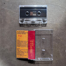 In The Golden - A Selection Of Wairarapa Underground Recordings 1988-2026