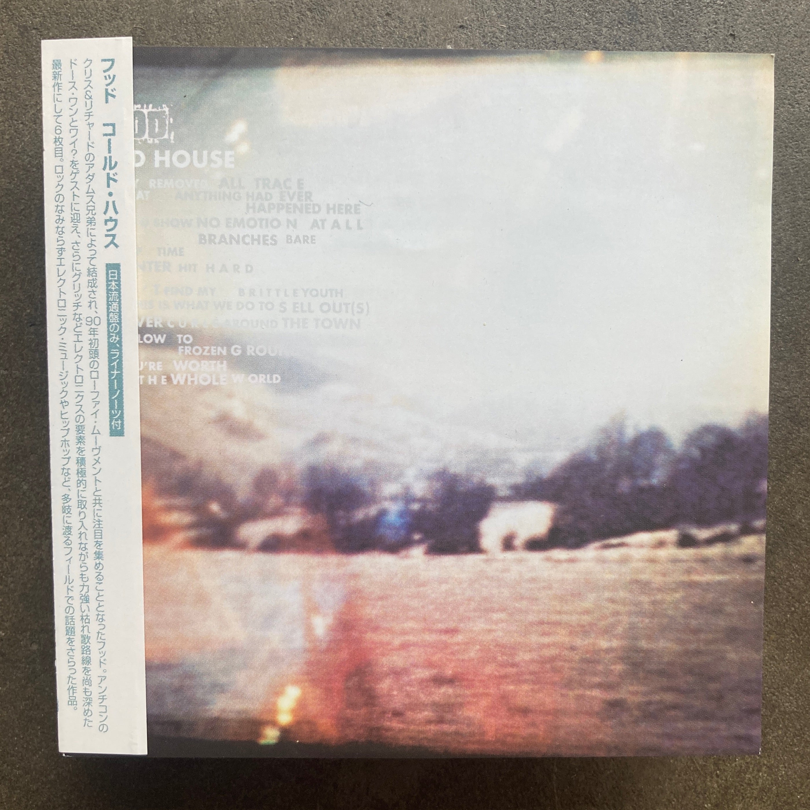 Hood – Cold House – All Night Flight Records