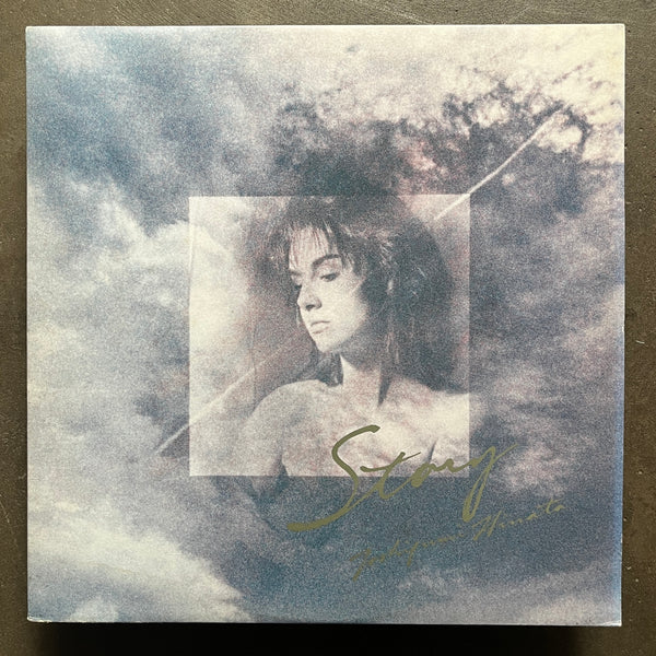 Toshifumi Hinata – Story