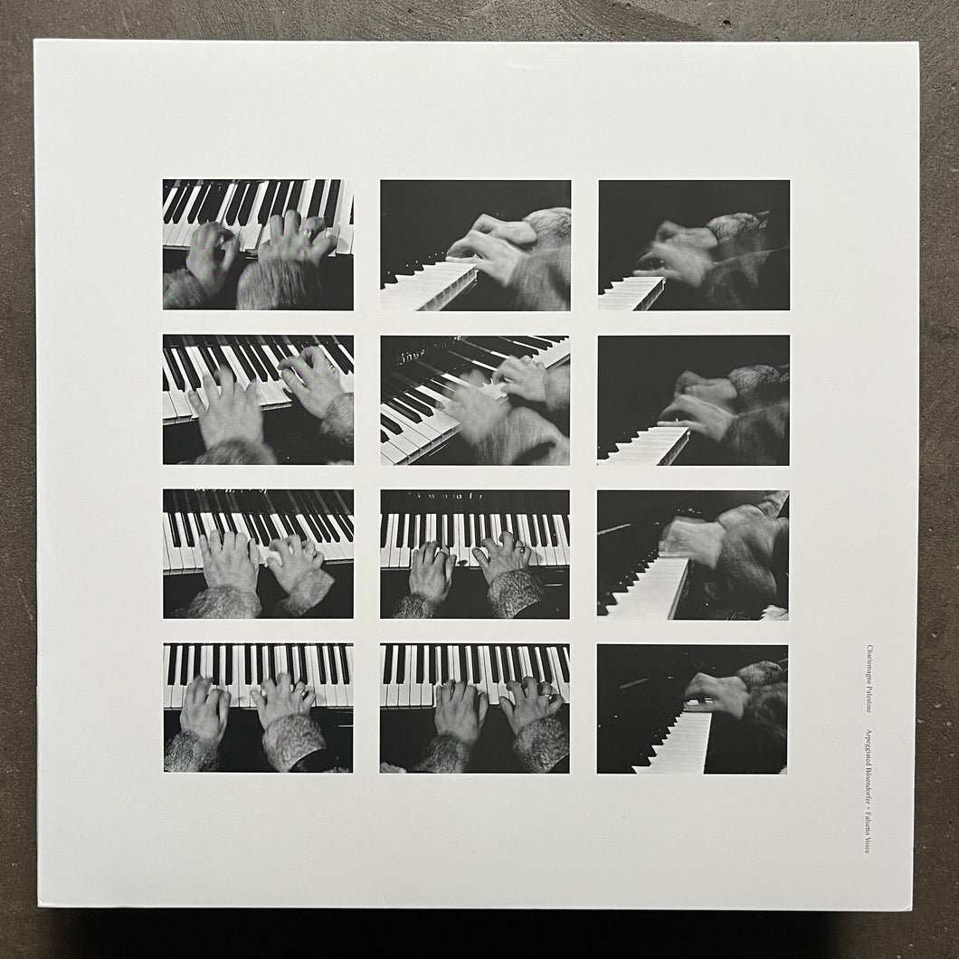 Charlemagne Palestine – Arpeggiated Bösendorfer + Falsetto Voice