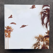 Motohiko Hamase – Intaglio