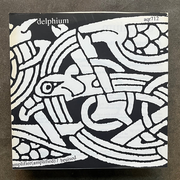 Delphium / bXg cXty XrchXstrX – Split