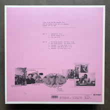 Vivien Goldman – Resolutionary