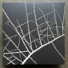 Terry Riley / Don Cherry / Karl Berger – Köln – February 23, 1975