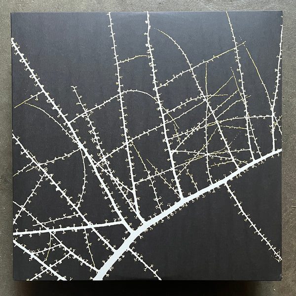 Terry Riley / Don Cherry / Karl Berger – Köln – February 23, 1975