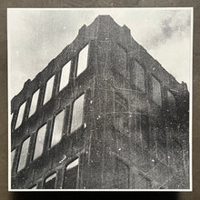 The Remote Viewer ‎– Us. In Happier Times