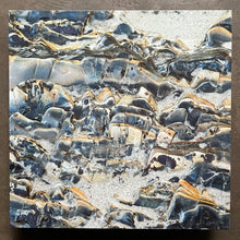 Jake Muir – Lady's Mantle