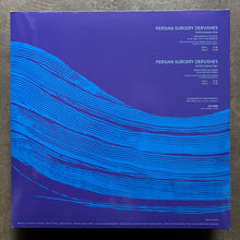 Terry Riley ‎– Persian Surgery Dervishes