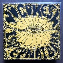 Vocokesh – Ispepnaibara