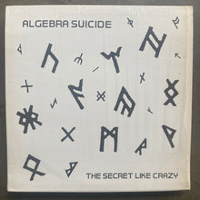 Algebra Suicide – The Secret Like Crazy