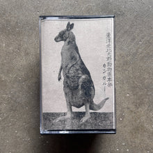 Kaity Fox – Untitled