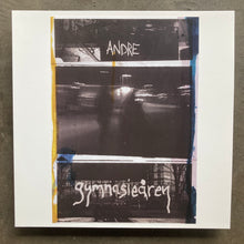 Andre – Gymnasieåren