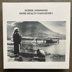 Normil Hawaiians ‎– More Wealth Than Money (RP)