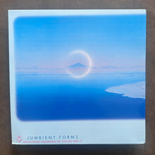 Various – Jumbient Forms (Artificial Sources Of Tokyo Vol. 2)