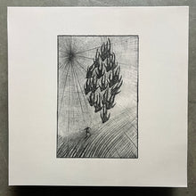 Áine O'Dwyer – Locusts