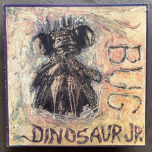 Dinosaur Jr. – Bug