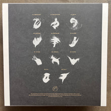Giraffe  – Desert Haze