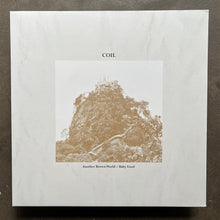 Coil – Another Brown World