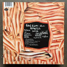 Aphex Twin – Richard D. James Album