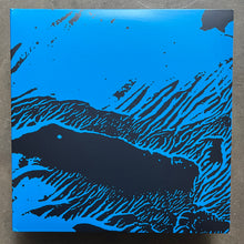 Catherine Christer Hennix – The Deontic Miracle: Selections From 100 Models Of Hegikan Roku