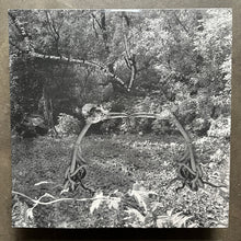 Various – The Eye Decay Theory Or When The Garden Becomes A Time Lapse (A Compilation Of Spontaneous Combustion Witnesses)