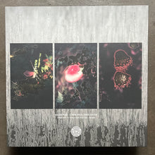 Kassem Mosse / Simone White  – Three Versions