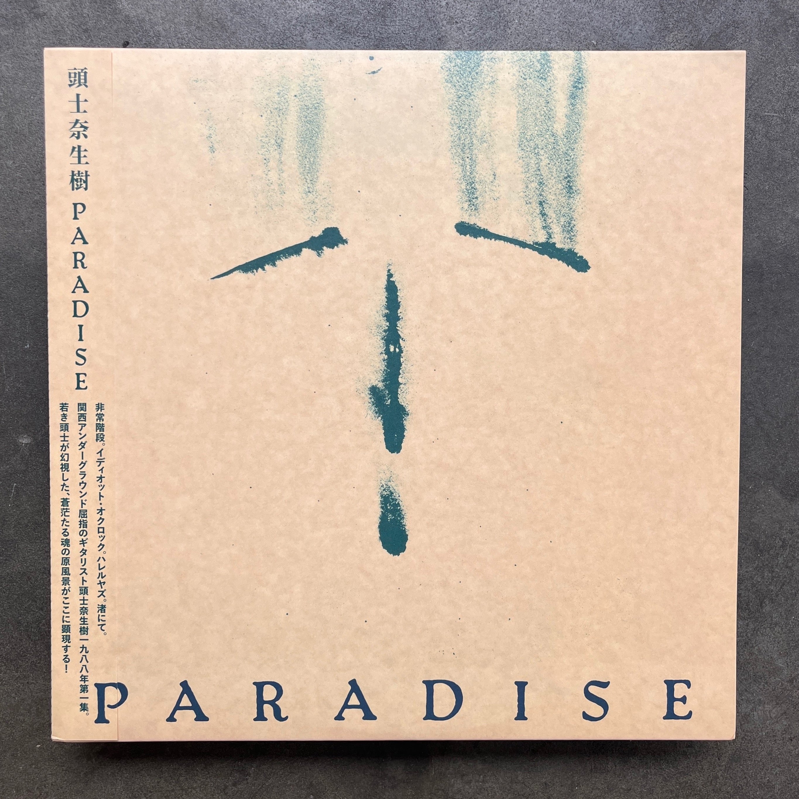 IMG_2426_3b5866ee-0ad5-4f0b-