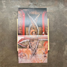 頭士奈生樹 (Naoki Zushi) – Paradise