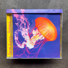 Pauline Oliveros – Primordial Lift