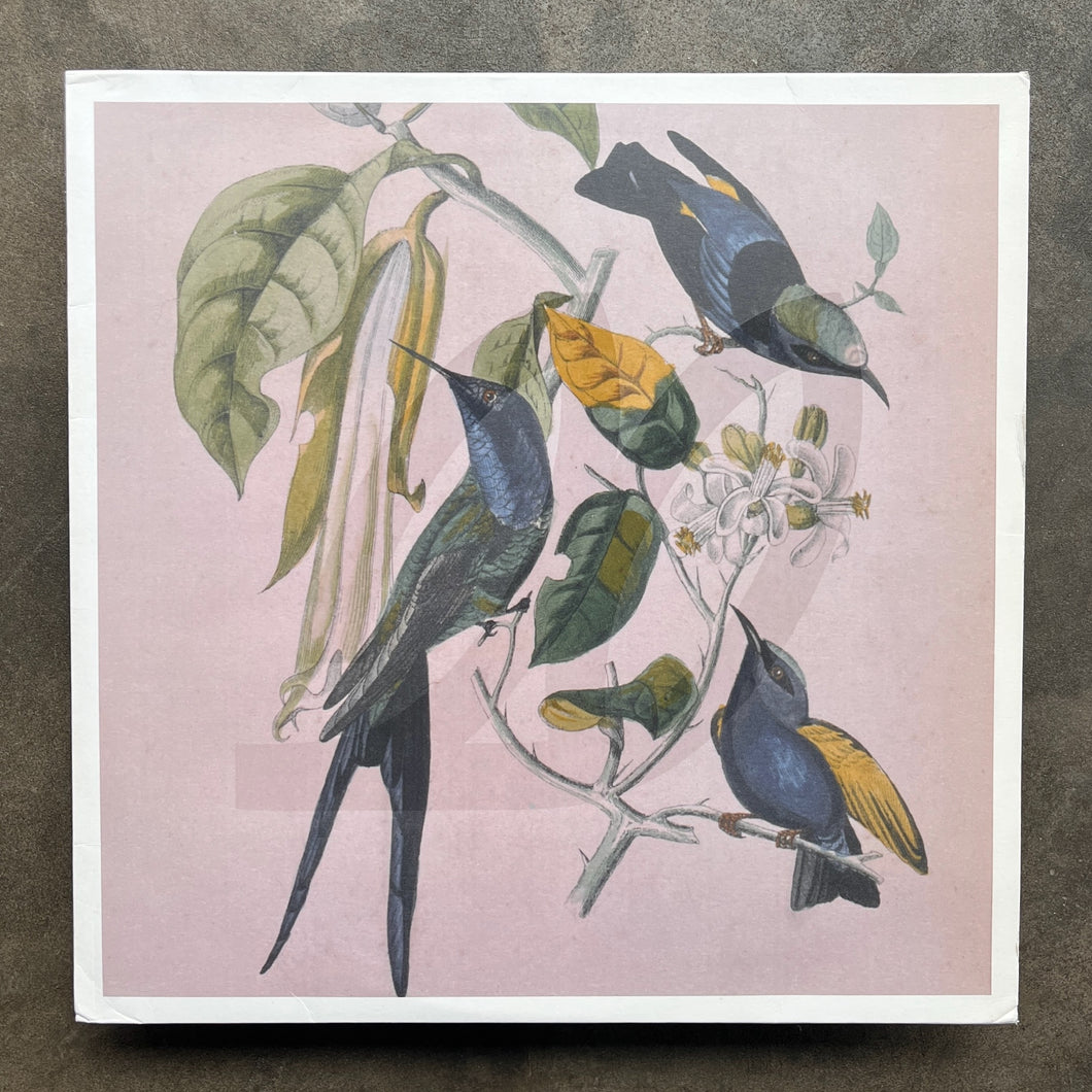 Susumu Yokota – Sakura – All Night Flight Records