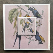 Susumu Yokota – Sakura
