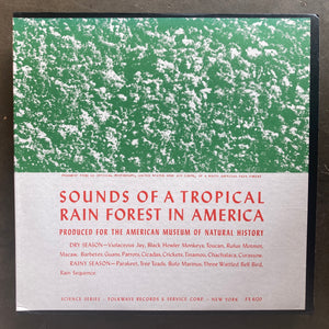 No Artist – Sounds Of A Tropical Rain Forest In America