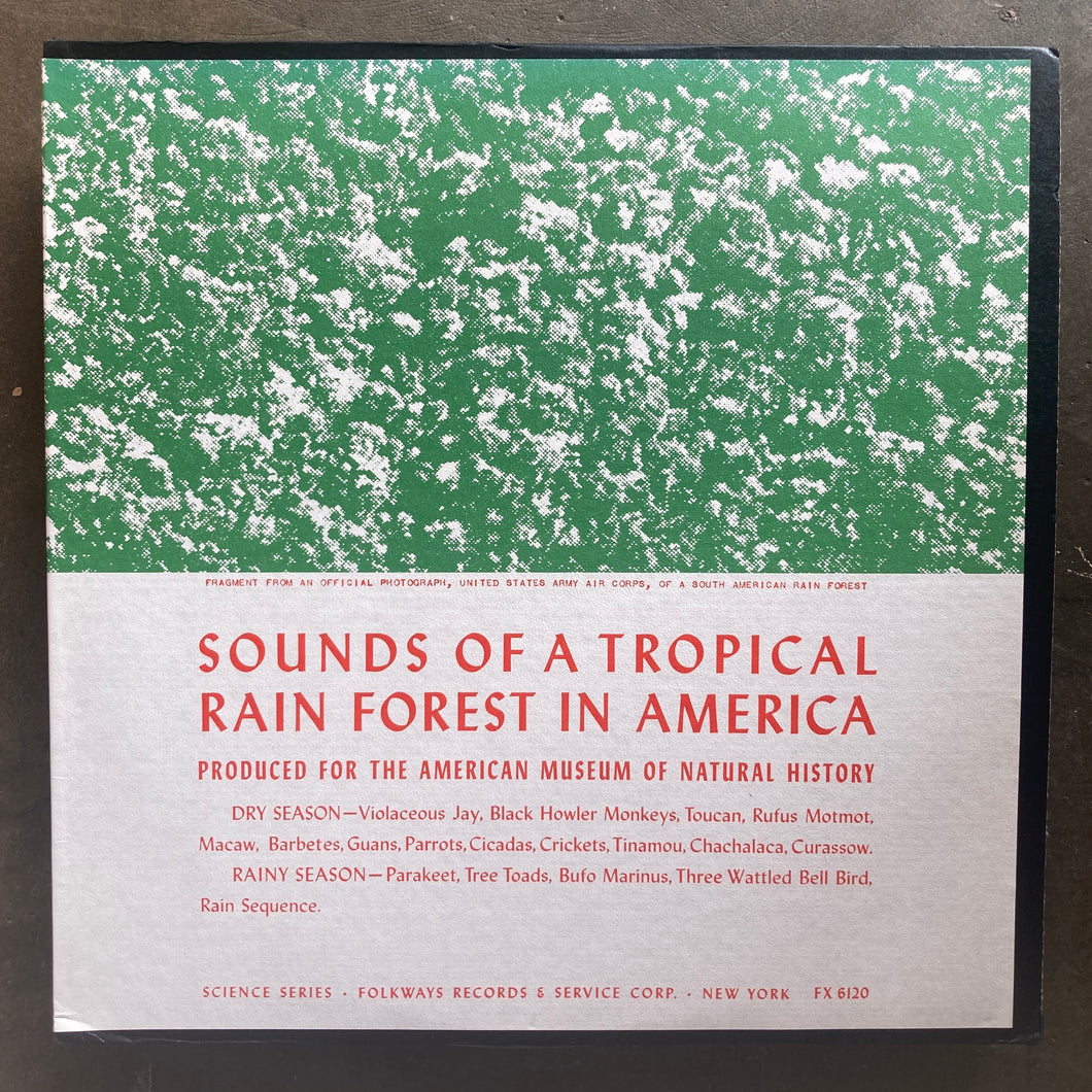 No Artist – Sounds Of A Tropical Rain Forest In America