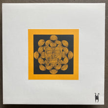 Pygmy Unit – Signals From Earth
