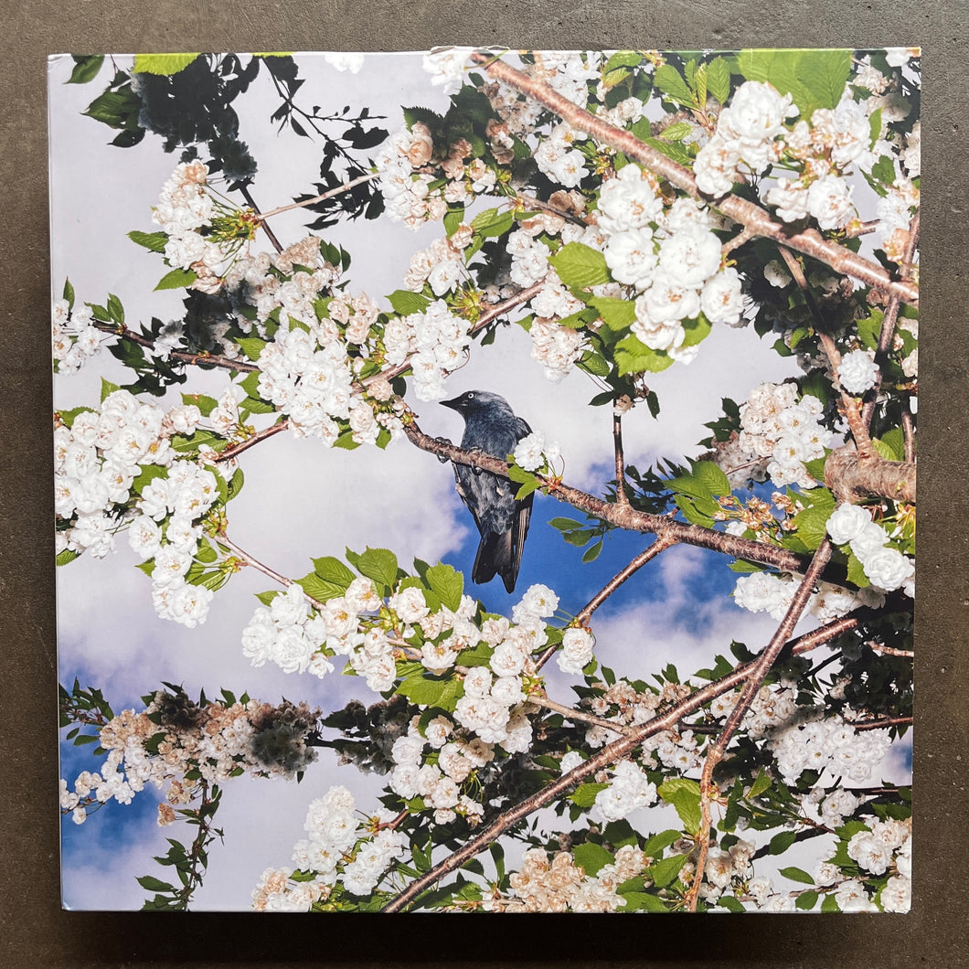 Ljudbilden Boelja – Embers